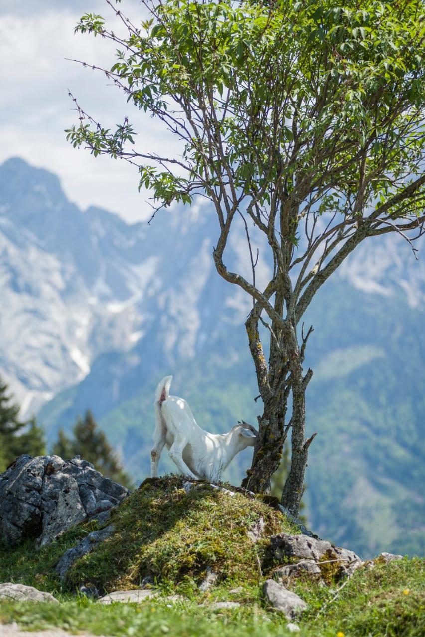 Ritzau Alm Hotel เอบส์ ภายนอก รูปภาพ